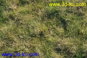 3D打印模型见论坛里没有很好的草地所以上传4块很细致的草地,大家应该能用上的图片