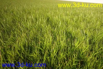 3D打印模型见论坛里没有很好的草地所以上传4块很细致的草地,大家应该能用上的图片