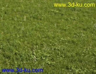 3D打印模型见论坛里没有很好的草地所以上传4块很细致的草地,大家应该能用上的图片