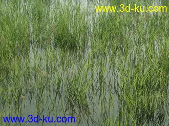 3D打印模型见论坛里没有很好的草地所以上传4块很细致的草地,大家应该能用上的图片