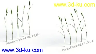 3D打印模型见论坛里没有很好的草地所以上传4块很细致的草地,大家应该能用上的图片