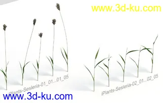 3D打印模型见论坛里没有很好的草地所以上传4块很细致的草地,大家应该能用上的图片