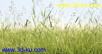 3D打印模型见论坛里没有很好的草地所以上传4块很细致的草地,大家应该能用上的图片