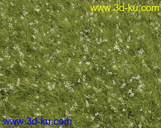 3D打印模型见论坛里没有很好的草地所以上传4块很细致的草地,大家应该能用上的图片