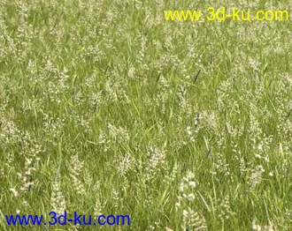3D打印模型见论坛里没有很好的草地所以上传4块很细致的草地,大家应该能用上的图片