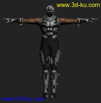 3D打印模型PS3忍者龙剑传2@隼龙的图片