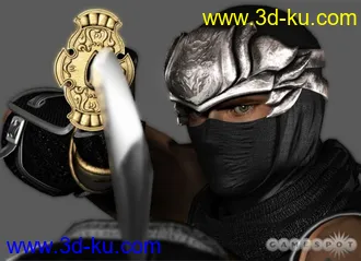 3D打印模型PS3忍者龙剑传2@隼龙的图片