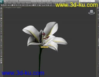 3D打印模型百合花开的图片