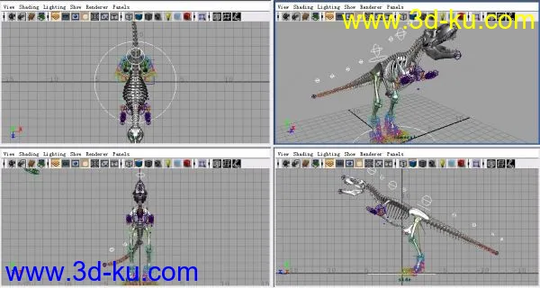 霸王龙模型的图片1