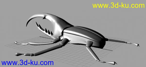 甲壳虫模型的图片1