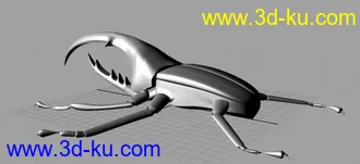 3D打印模型甲壳虫的图片