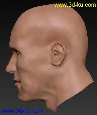 3D打印模型写实头像刻画的图片