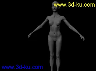3D打印模型女人体的图片