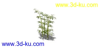SU7竹子模型3个的图片