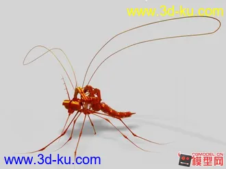 机械蚊子模型的图片