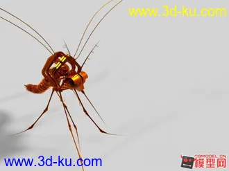 机械蚊子模型的图片