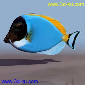 3D精品动物模型飞禽走兽俱全的图片