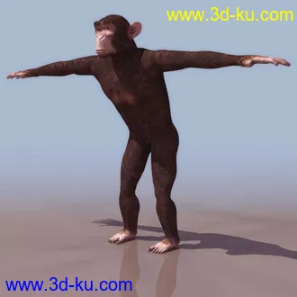 3D精品动物模型飞禽走兽俱全的图片