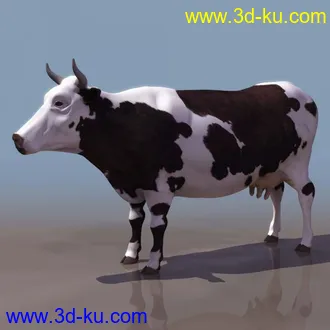 3D精品动物模型飞禽走兽俱全的图片