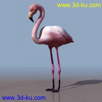3D精品动物模型飞禽走兽俱全的图片