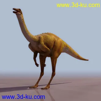 3D精品动物模型飞禽走兽俱全的图片