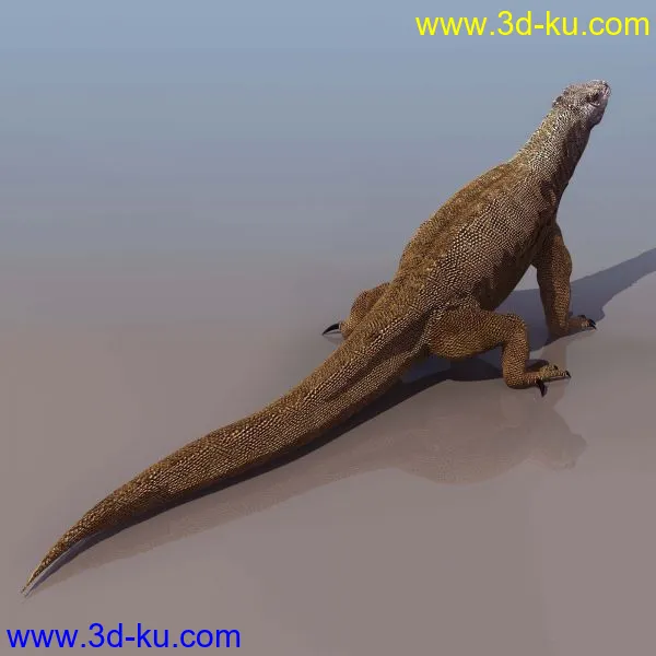 3D精品动物模型飞禽走兽俱全的图片11
