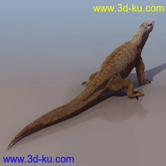 3D精品动物模型飞禽走兽俱全的图片