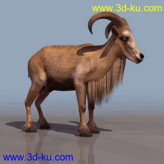 3D精品动物模型飞禽走兽俱全的图片