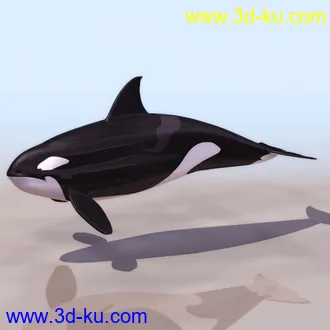 3D精品动物模型飞禽走兽俱全的图片