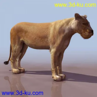 3D精品动物模型飞禽走兽俱全的图片