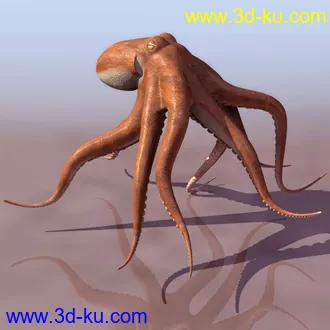 3D精品动物模型飞禽走兽俱全的图片