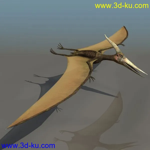 3D精品动物模型飞禽走兽俱全的图片20