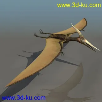 3D精品动物模型飞禽走兽俱全的图片