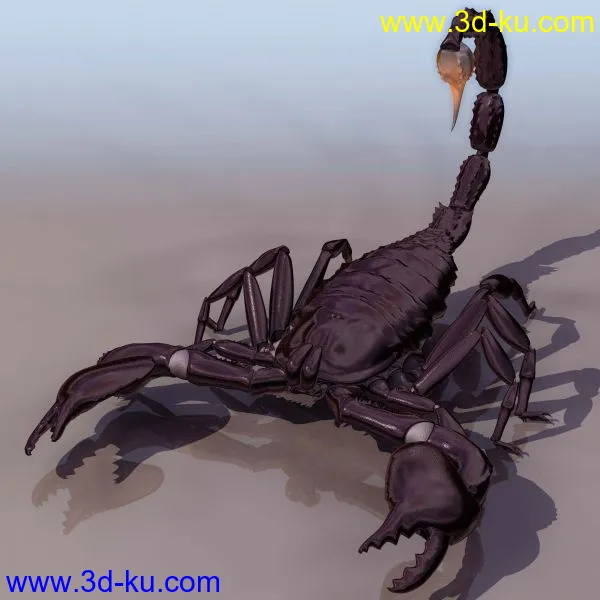 3D精品动物模型飞禽走兽俱全的图片22