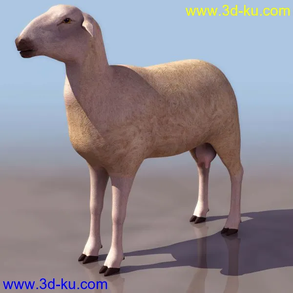 3D精品动物模型飞禽走兽俱全的图片24