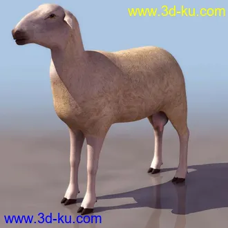 3D精品动物模型飞禽走兽俱全的图片