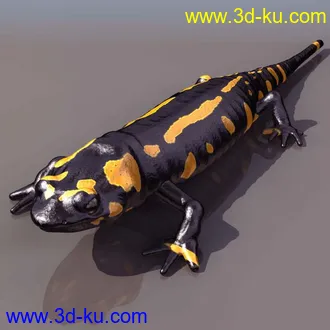 3D精品动物模型飞禽走兽俱全的图片