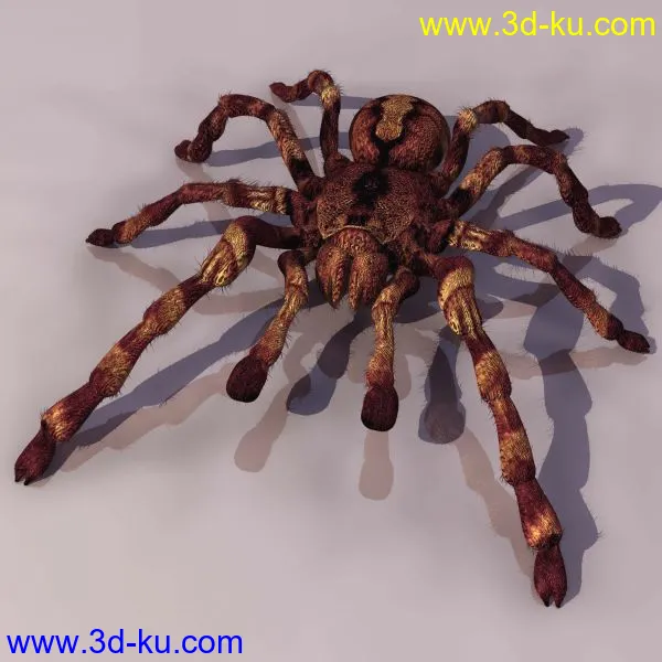 3D精品动物模型飞禽走兽俱全的图片26