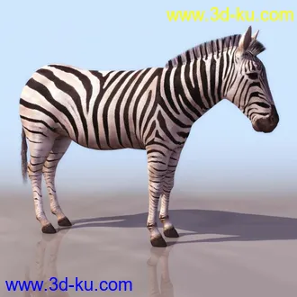 3D精品动物模型飞禽走兽俱全的图片
