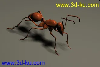3D打印模型红蚂蚁的图片