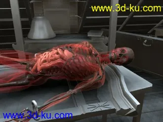 3D打印模型透明人+材质+绑定的图片