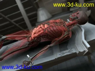 3D打印模型透明人+材质+绑定的图片