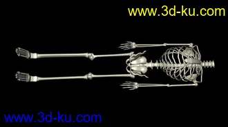 3D打印模型骷髅的图片