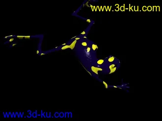 3D打印模型干脆把这个也发了！青蛙带骨骼！！！的图片