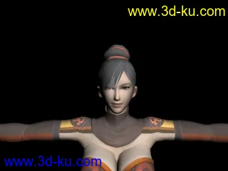 3D打印模型[震撼]真三国无双6全部女将女兵的图片