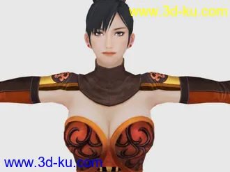 3D打印模型[震撼]真三国无双6全部女将女兵的图片