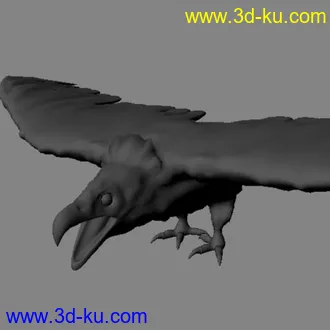 3D打印模型鹰的图片