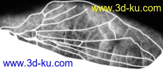 3D打印模型高模－苍蝇－带贴图的图片