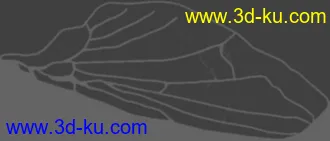 3D打印模型高模－苍蝇－带贴图的图片