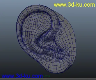 3D打印模型非常逼真的耳朵的图片